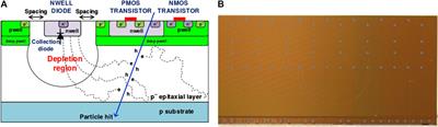 A High-Granularity Digital Tracking Calorimeter Optimized for Proton CT
